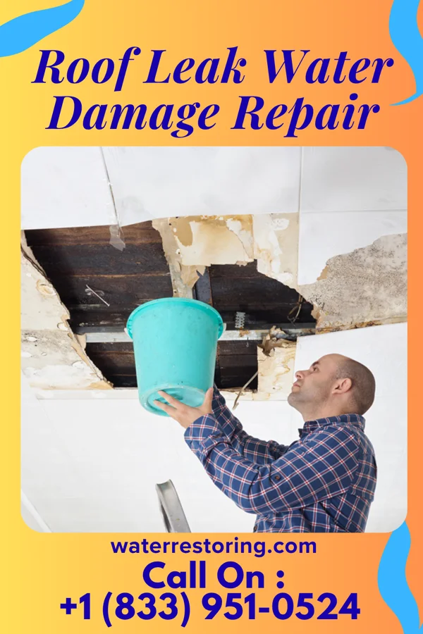 Roof Leak Water Damage Repair in Portal, ND
